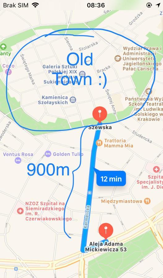 Cozy & Big Rooms In Old Town 克拉科夫 外观 照片