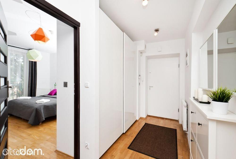 Cozy & Big Rooms In Old Town 克拉科夫 外观 照片